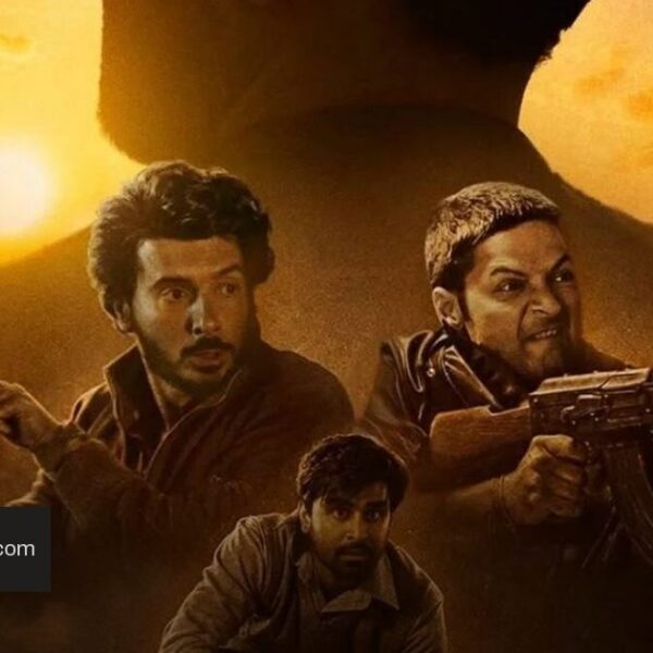 Mirzapur The Movie touches Rs 325.87 crore worldwide