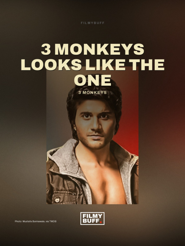 3 Monkeys